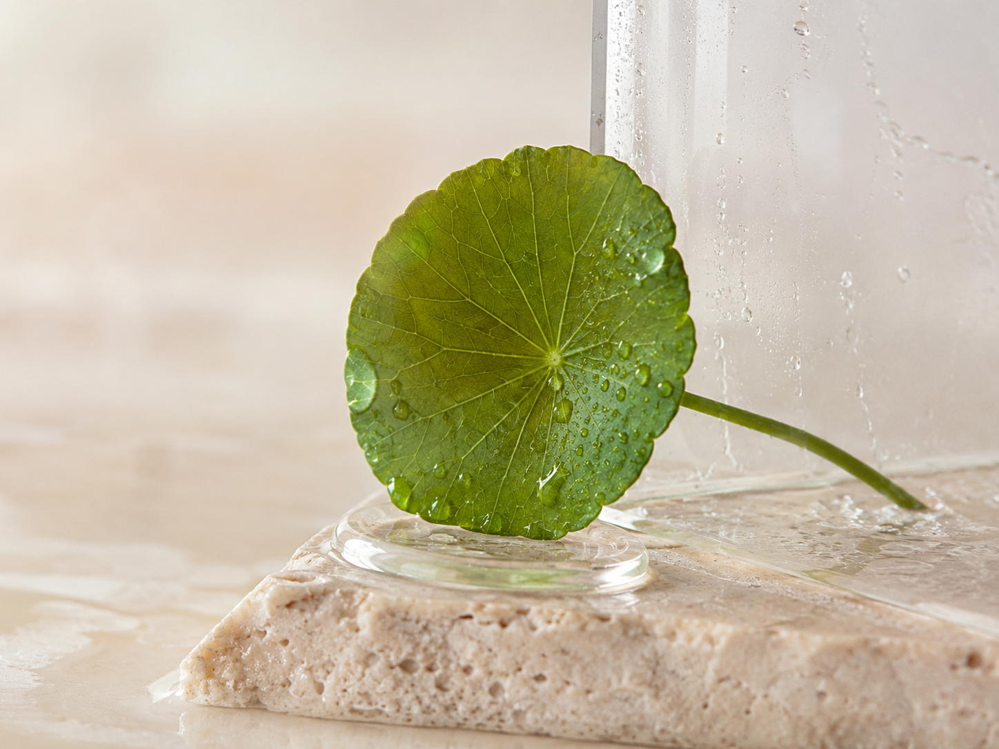 Ingredient Stories: The Purpose Behind Every Formula